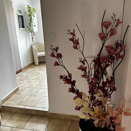 Sg Apartmanovy Dum