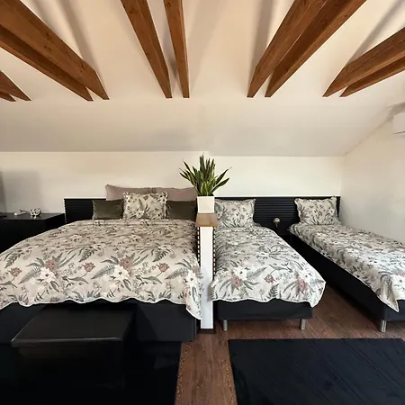 Sg Apartmanovy Dum 4*