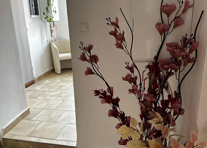 Sg Apartmanovy Dum